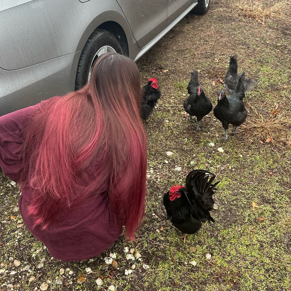 Meet your Posher, Hope